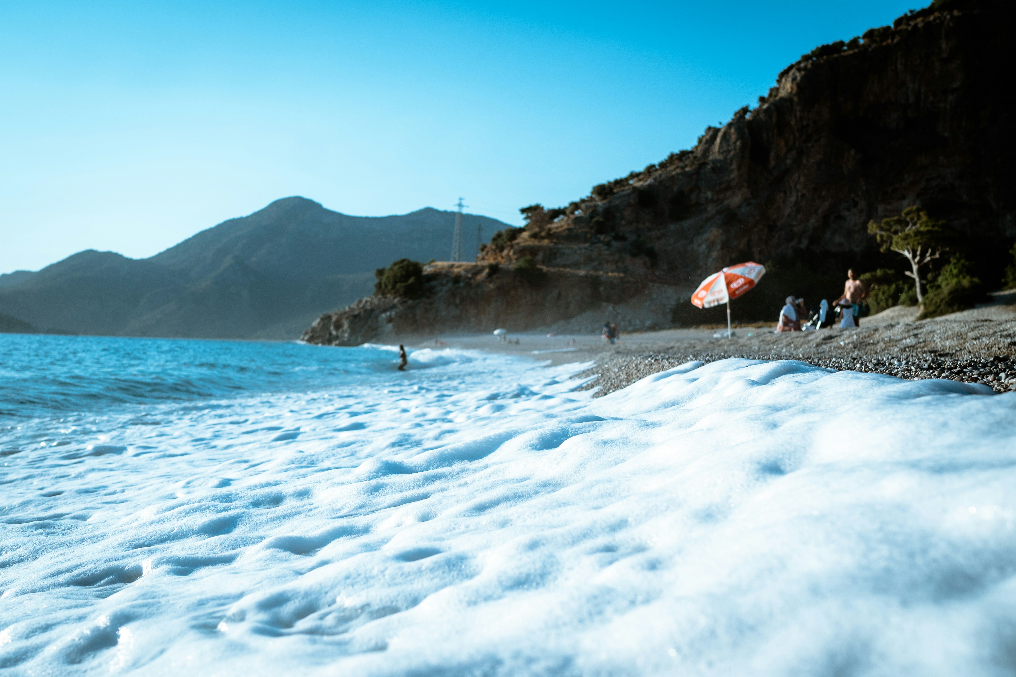 people on beach during daytime